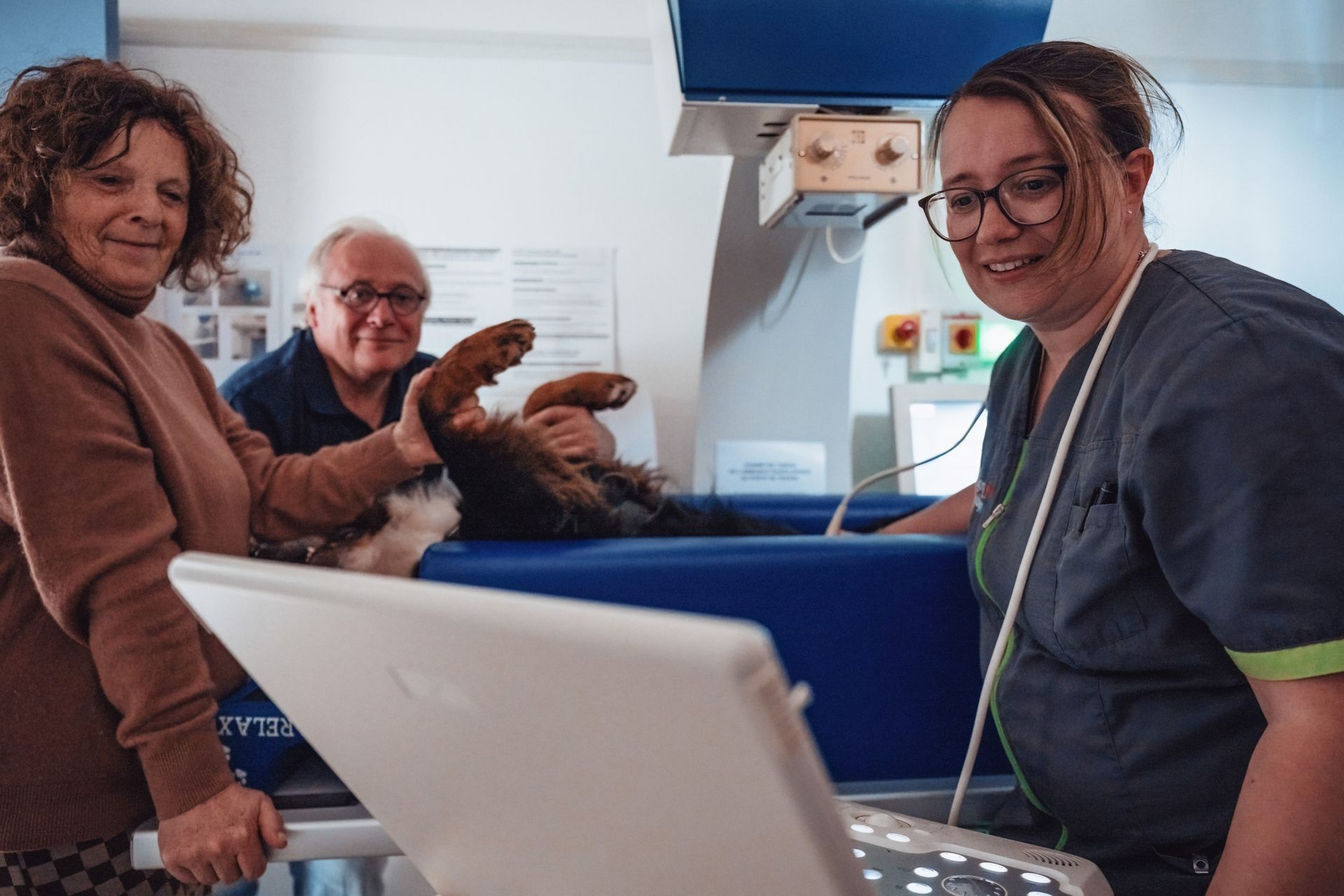 Un chien subit une échographie dans une clinique vétérinaire, assisté de deux personnes.