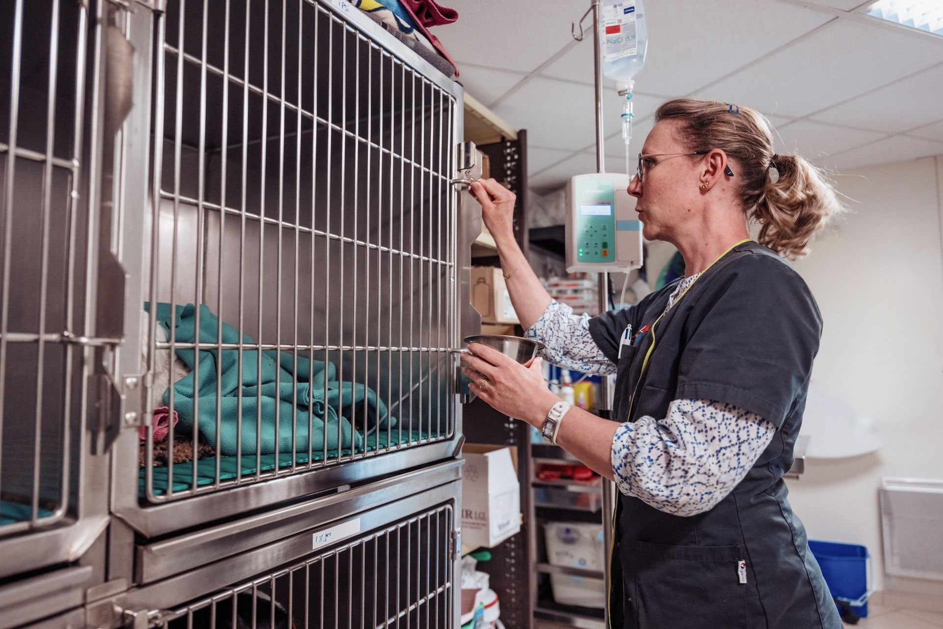ASV en blouse blanche examinant un patient dans une cage, perfusion intraveineuse en arrière-plan.