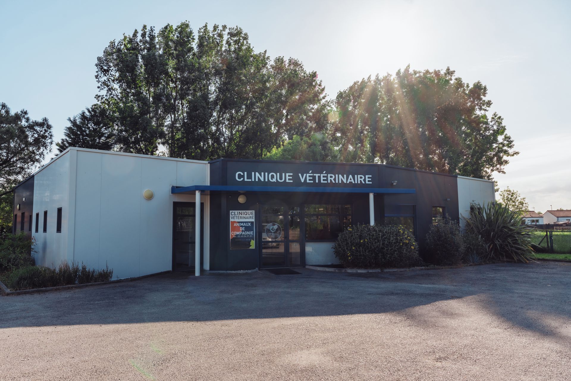 Clinique vétérinaire aux accents bleus et blancs, entourée d'arbres et d'un parking, sous un ciel lumineux.