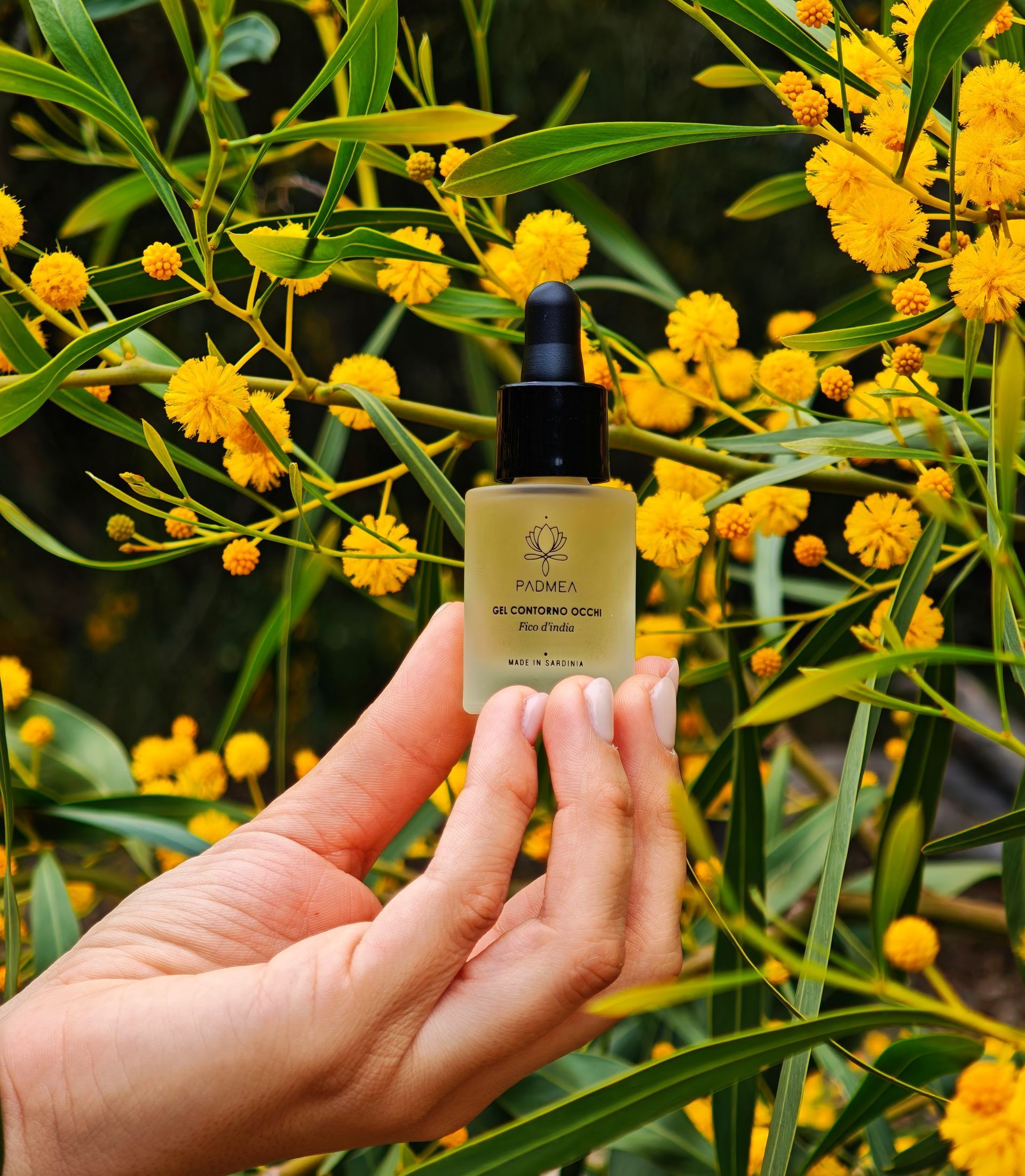 Una donna tiene in mano una bottiglia di lozione davanti a un cactus.