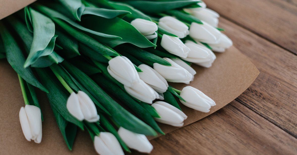 bunch of white tulips