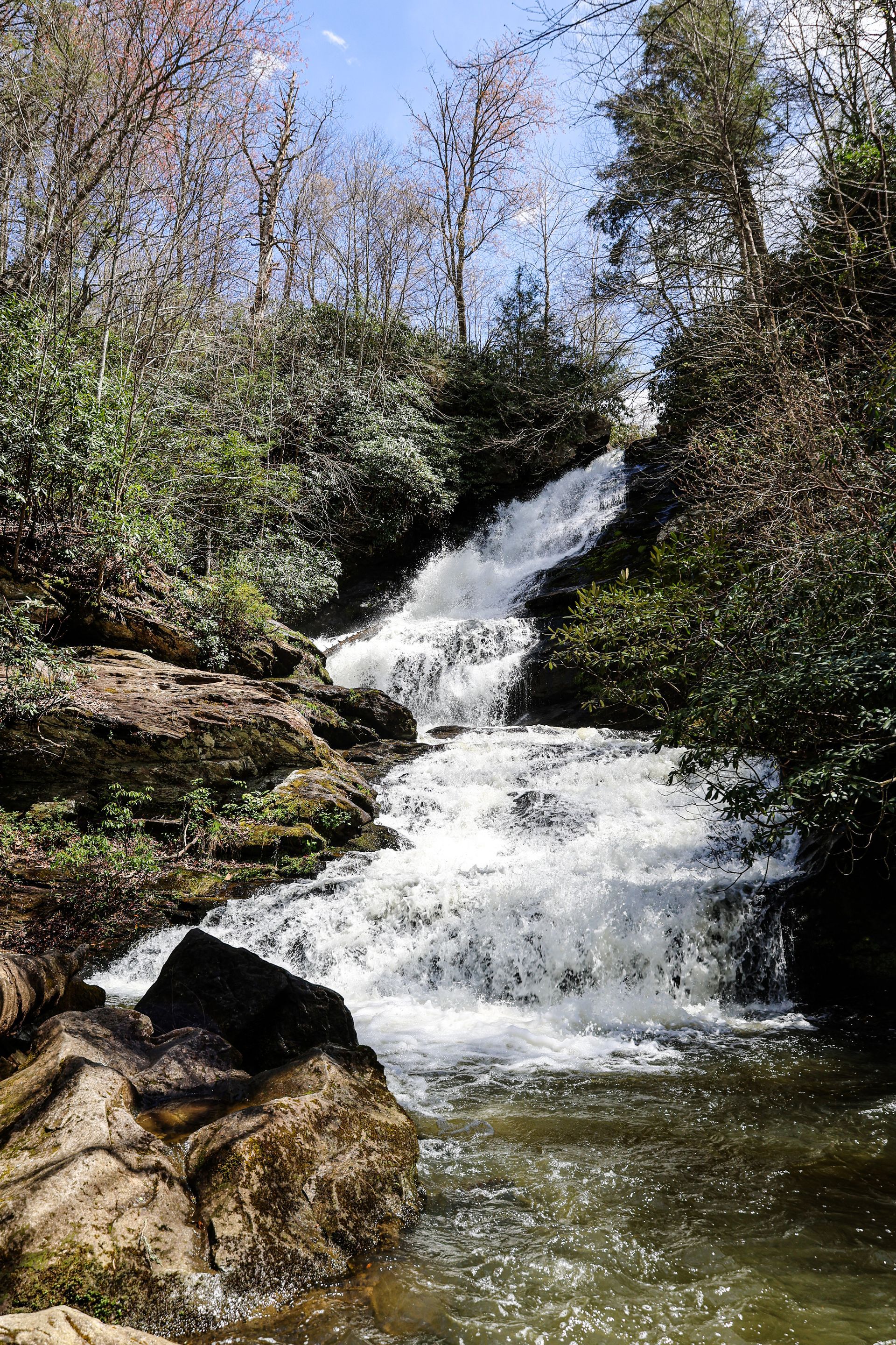 Mudd Creek Falls is another place to learn the art of resiliency and mindful practices. Watching the waterfall and walking down the trail is an instant connection to nature and a transformative experience to happier and healthier living.
