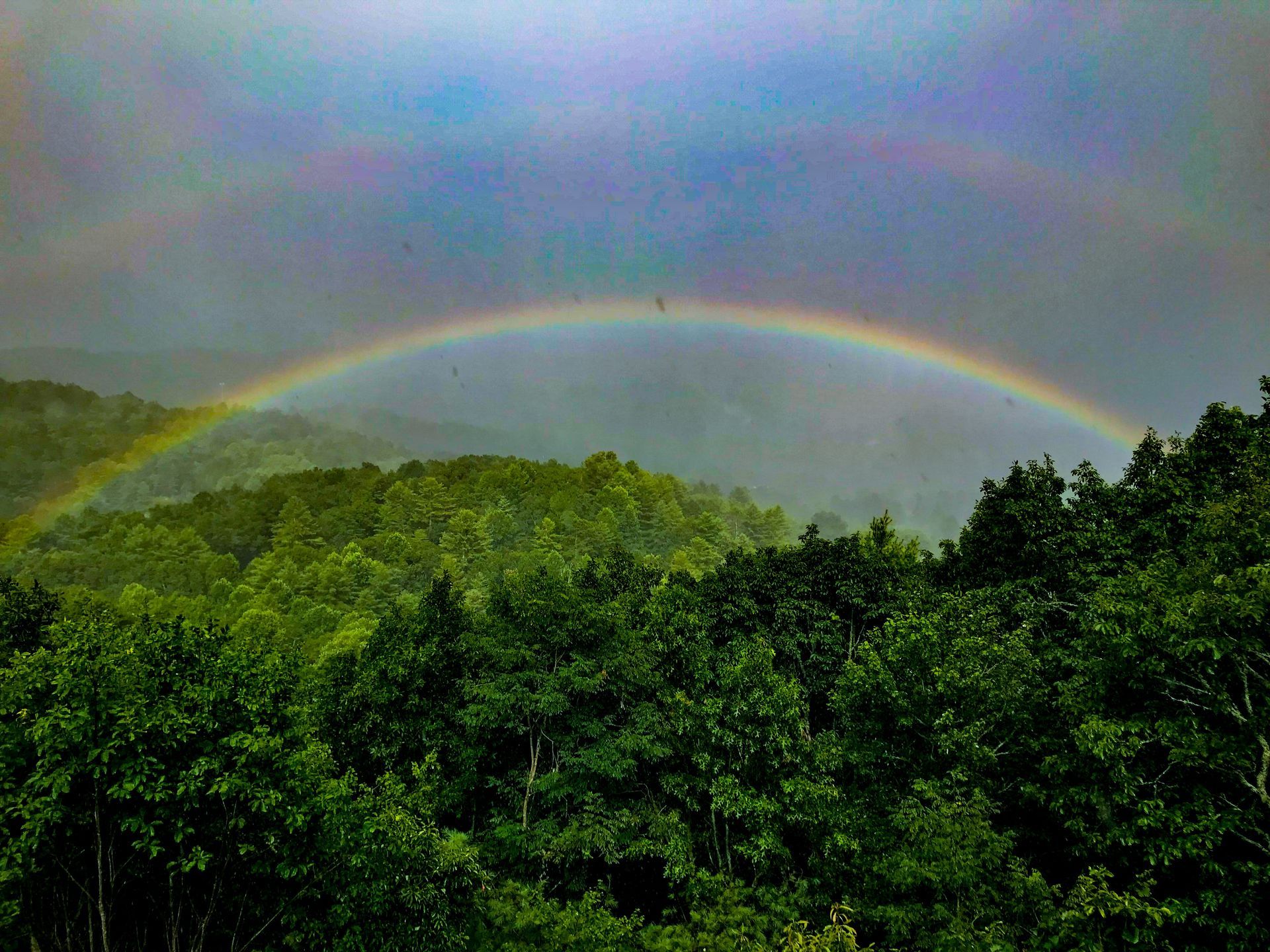 Rainbow arches over a lush green forest. Hazy sky, colorful arc visible.