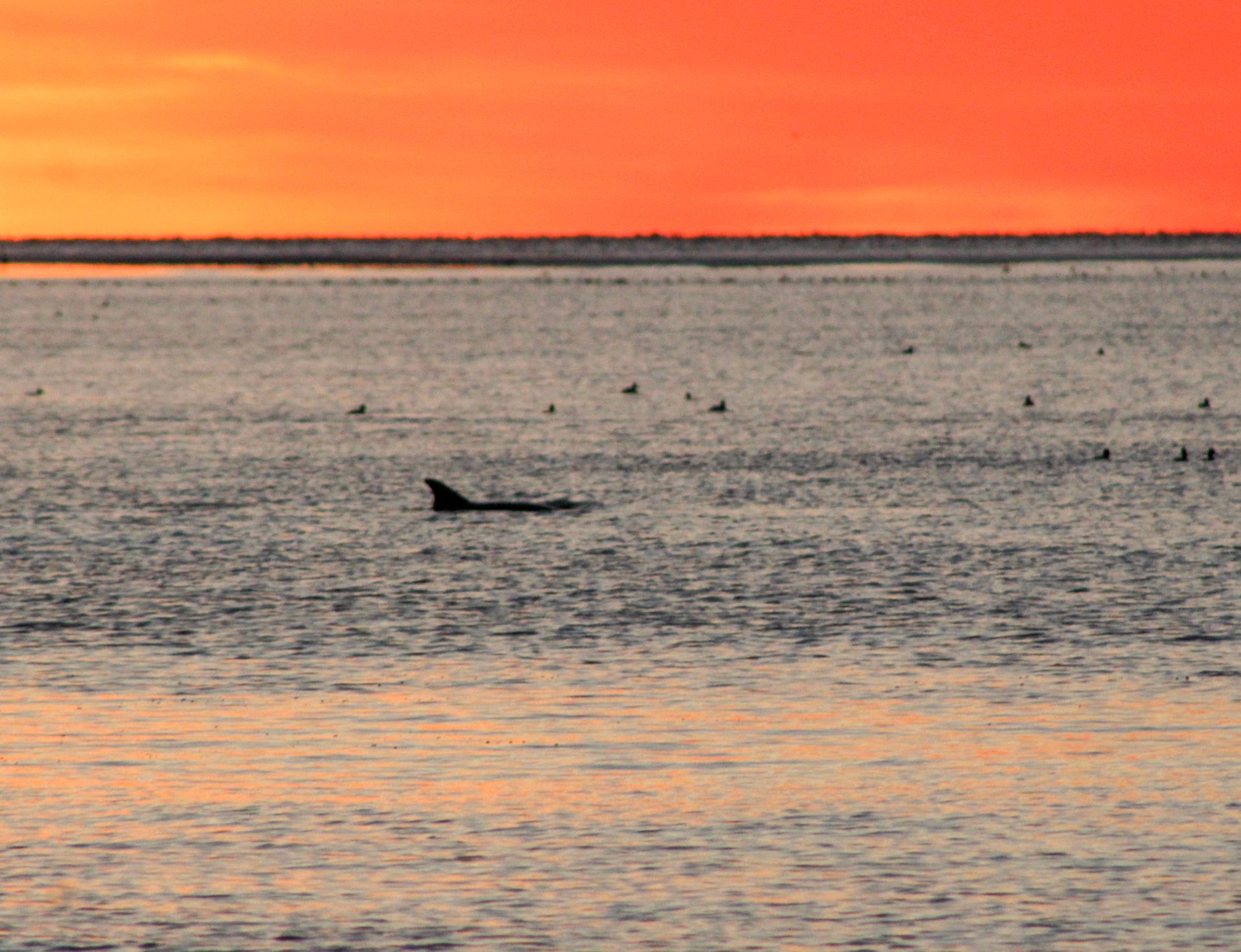 Serenity Bay view in the backyard. Relax and refresh in the tranquil waters of Alligator Point. Watch the sun rise and fall from the dock as you learn new ways to live a happier and healthier life.