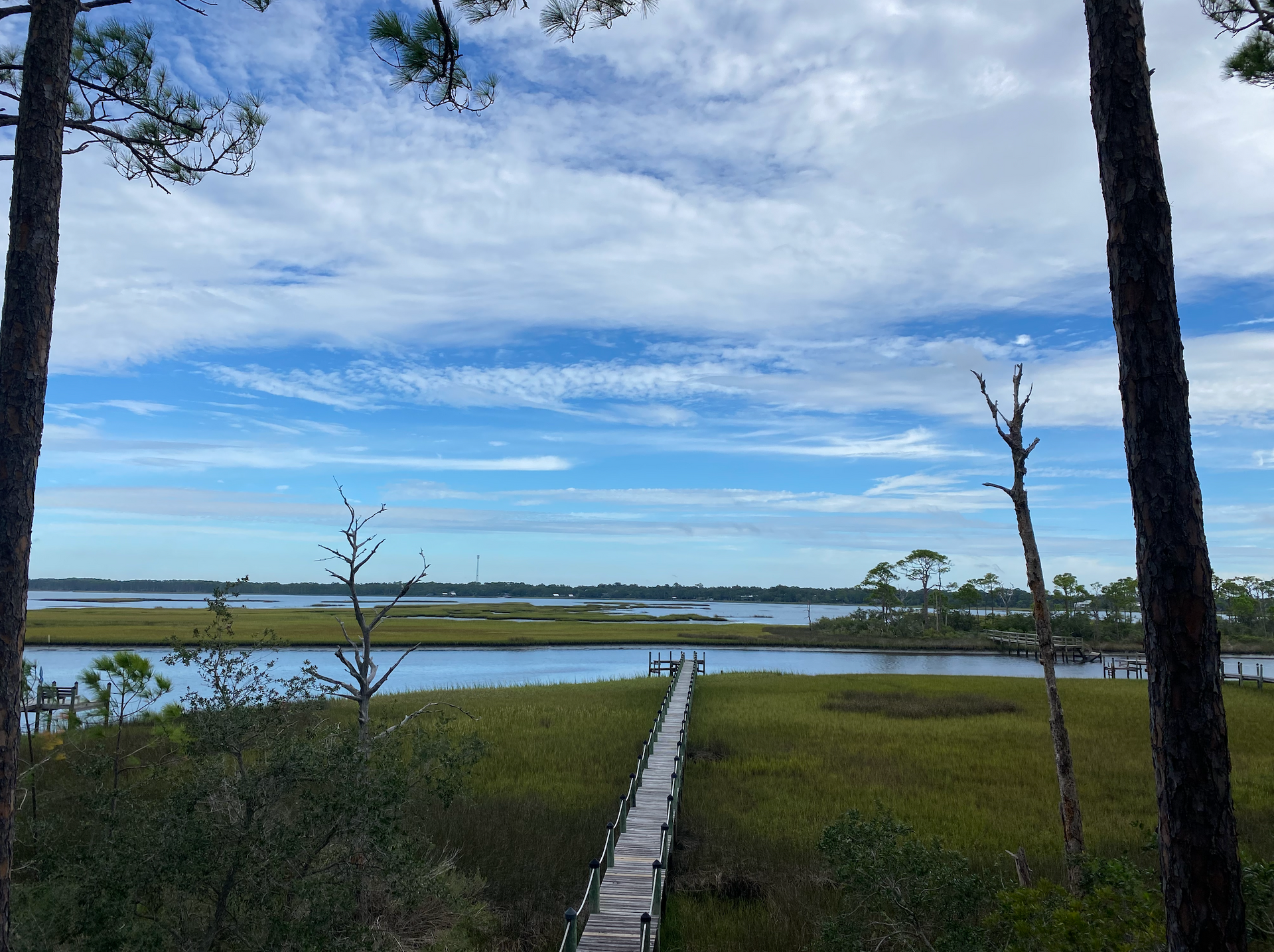Alligator Harbor is 14 thousand acres of preserved wetlands and your backyard this stay. Serenity Bay is on this gorgeous, remote wetland. There is plenty to do during your wellness retreat that is shore to lead you to a happier and healthier life.