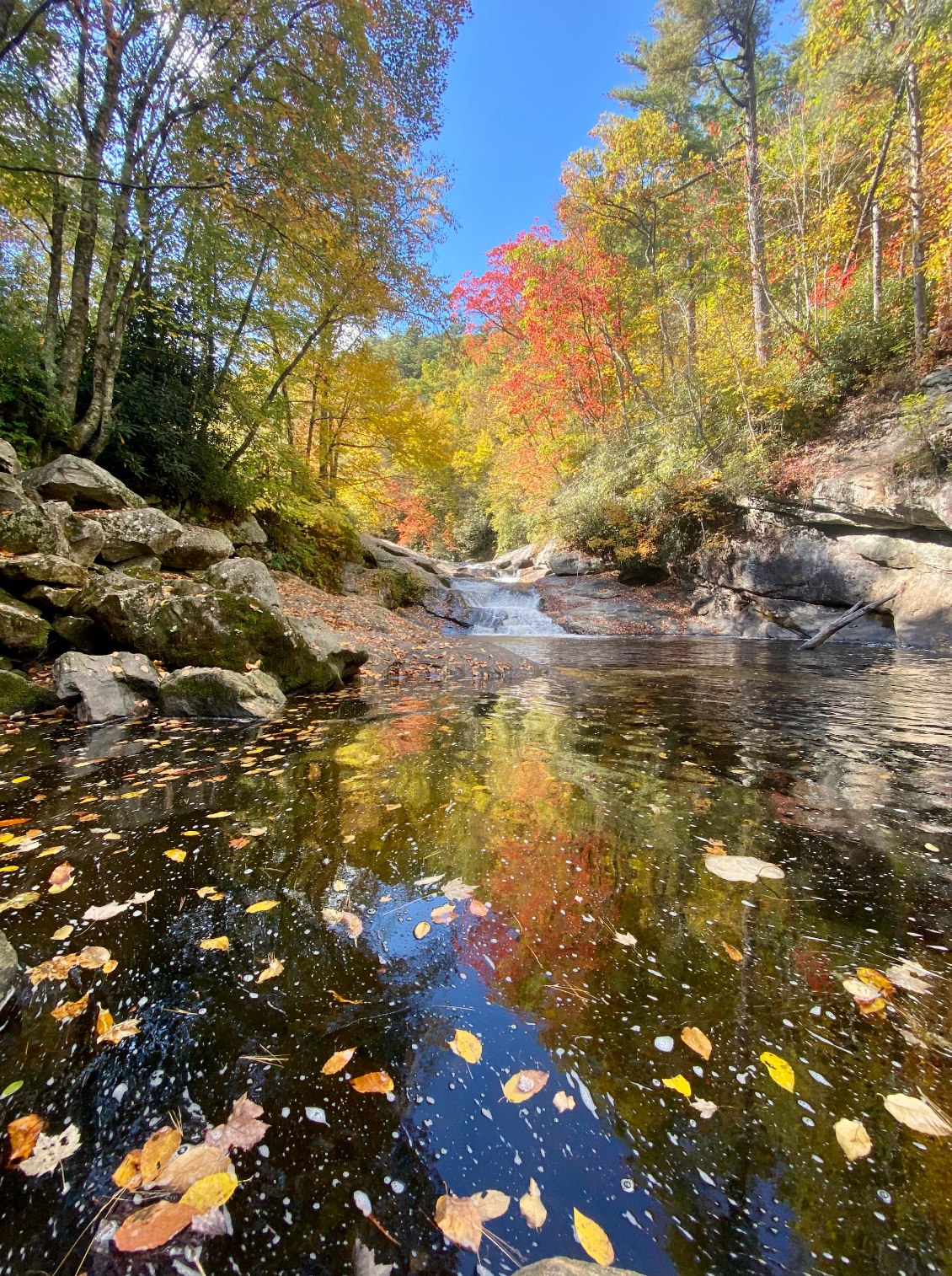 Serenity Vista is a remote mountain top location with lots of accessibility to local hiking and a private 17-acre lake. Retreats provide guided and individualized access to all these places to help build a new perspective on a happier and healthier life.