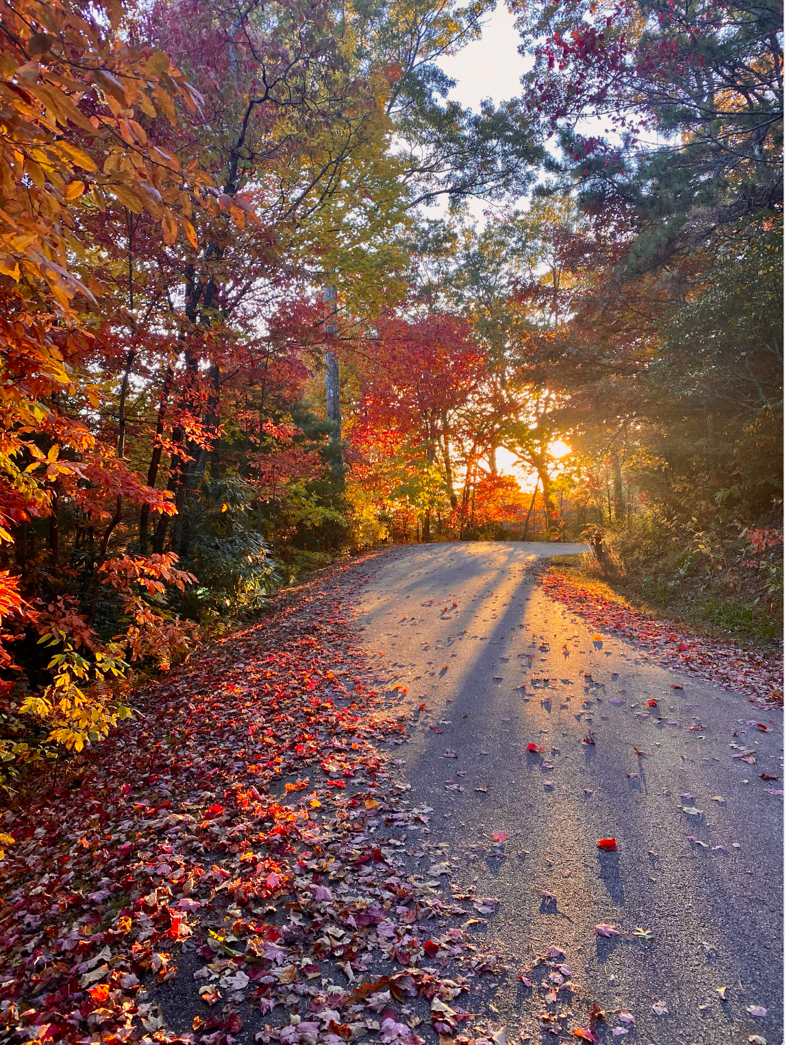Success is built on the foundation of resiliency and personal growth. Join us at Serenity Vista to take walks watching the leaves change as you change your perspective about life and how to live a happier and healthier life.