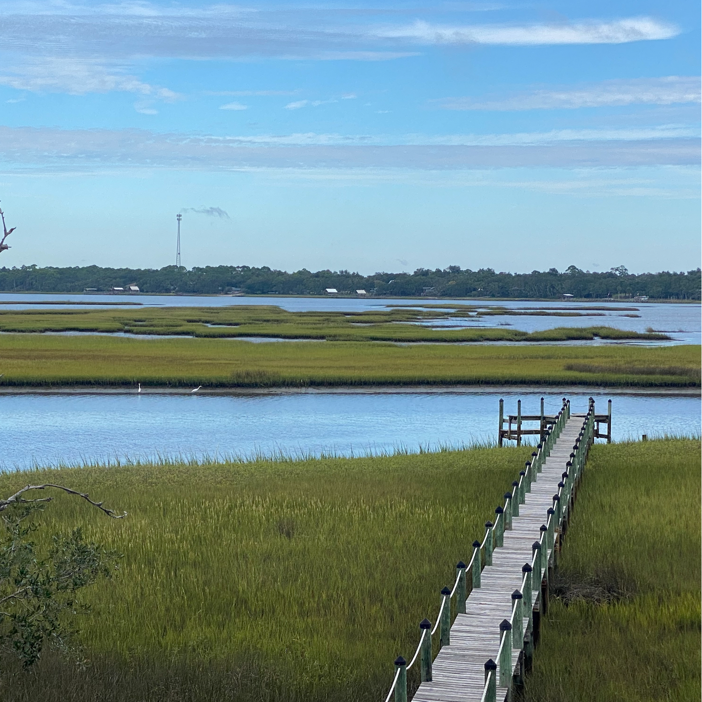 Serenity Bay view in the backyard. Relax and refresh in the tranquil waters of Alligator Point. Watch the sun rise and fall from the dock as you learn new ways to live a happier and healthier life.