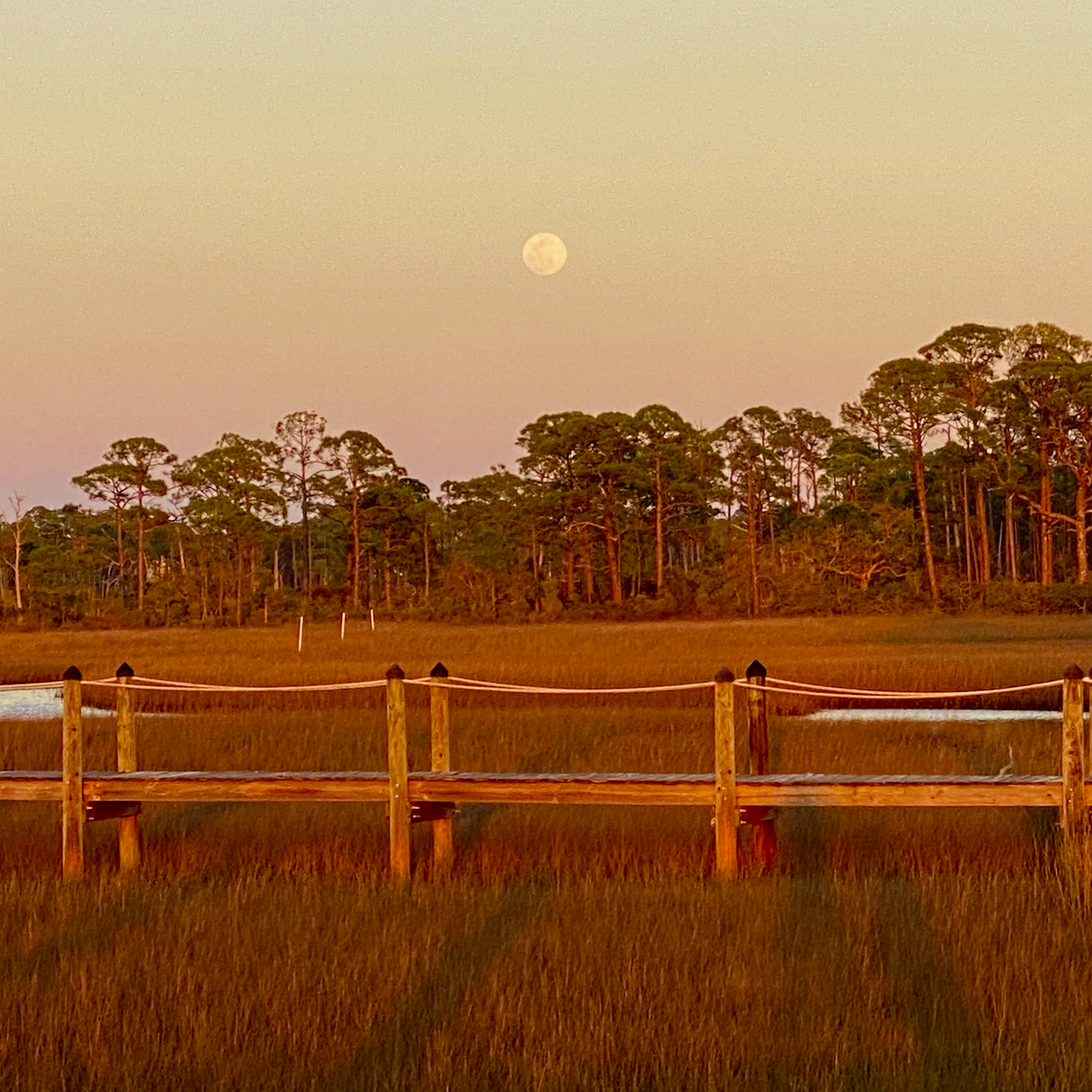 Serenity Bay view in the backyard. Relax and refresh in the tranquil waters of Alligator Point. Watch the sun rise and fall from the dock as you learn new ways to live a happier and healthier life.