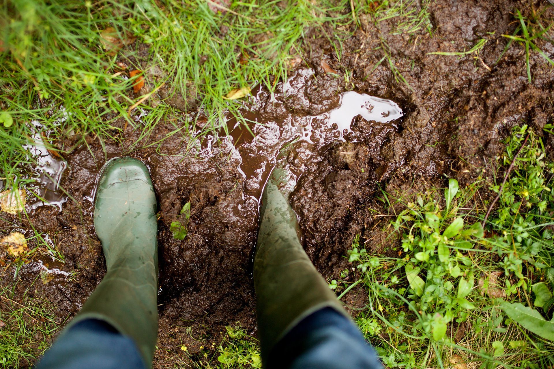 Standing water and muddy ground around septic drain field after heavy rain