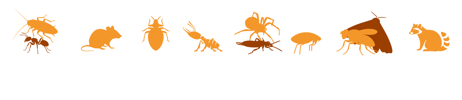 Pestify Pest Control Pest List