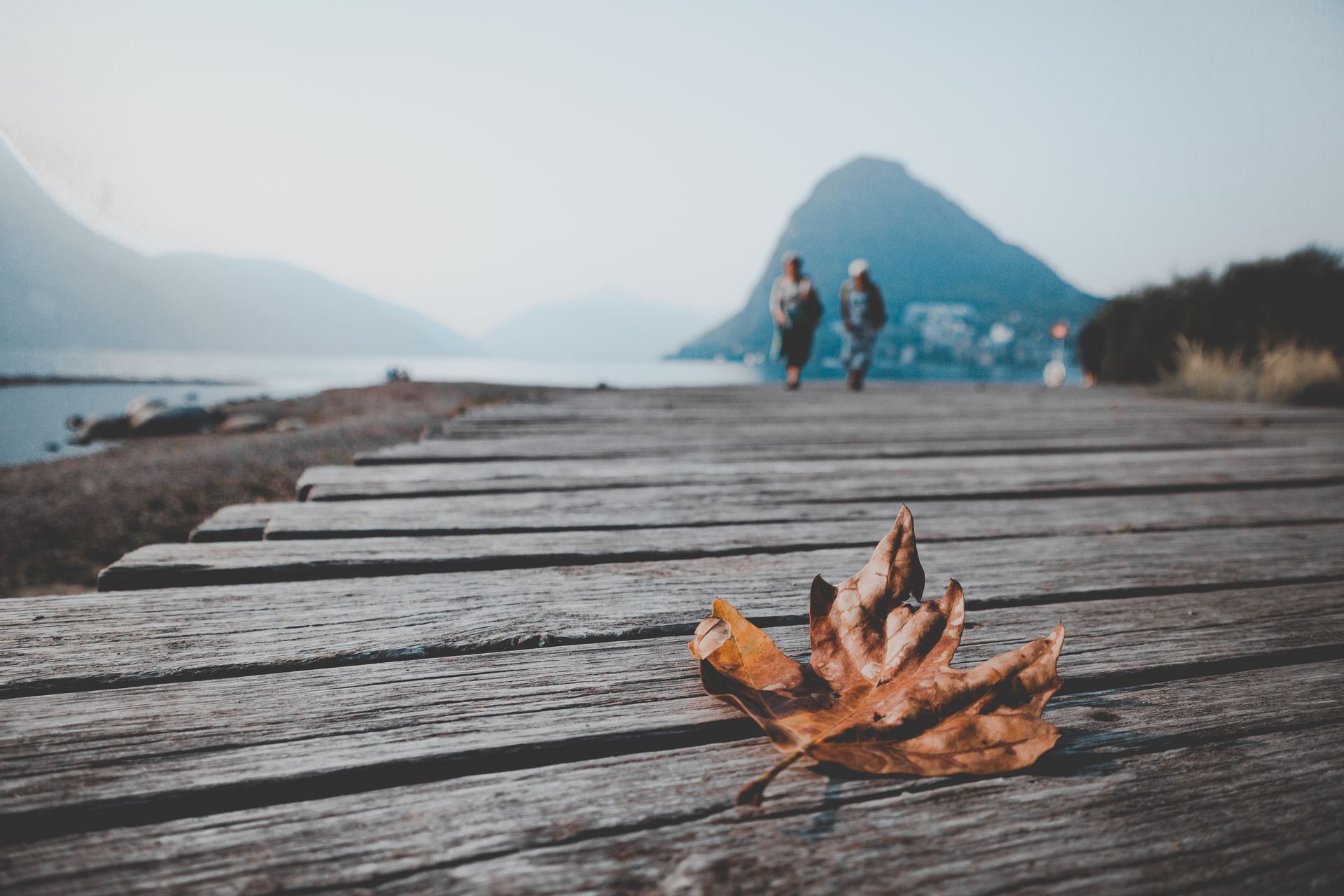 A dry, brown fallen leaf rests on a wooden boardwalk near a lake with two distant figures and a mountain in the background.