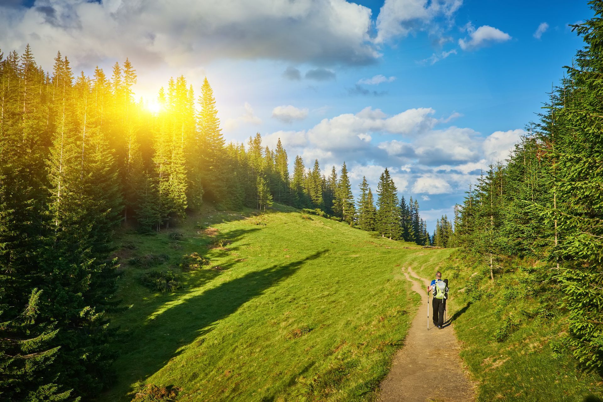 A hiker with a backpack walks along a grassy mountain path, bordered by a forest under a bright, sunlit sky.