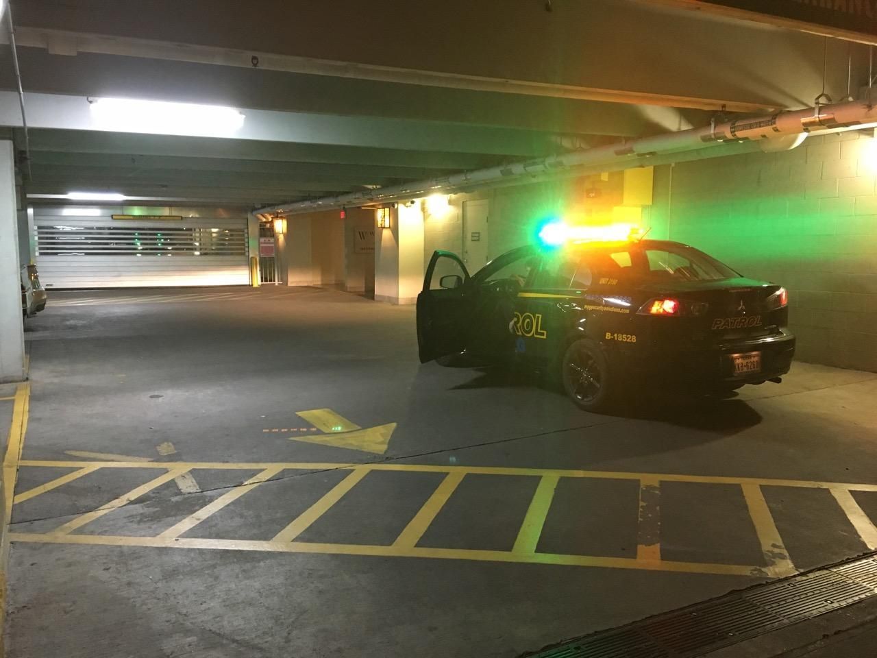 Garage Parking Patrol