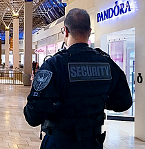 Retail Security