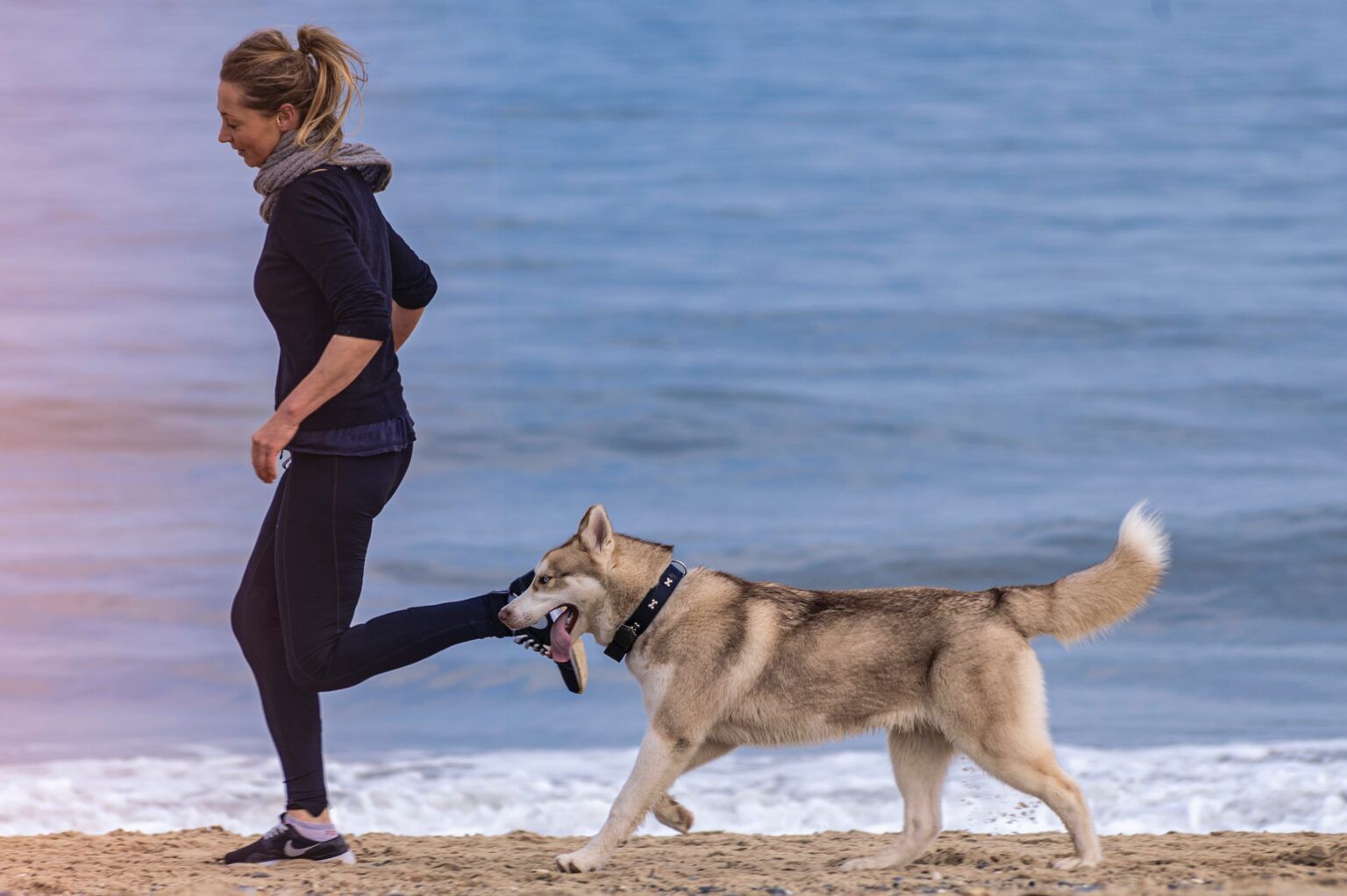 Running With Dog — Goodyear, AZ — Natalie’s Fitness Elements Garage