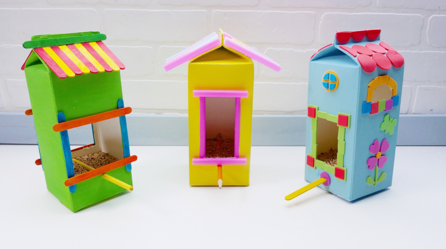 E/D Class 2  All About Birds