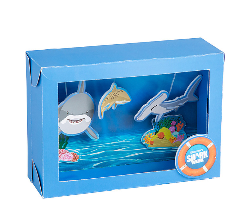 E/D Class 1  Aquatic Adventures (Explorer/Discovery)