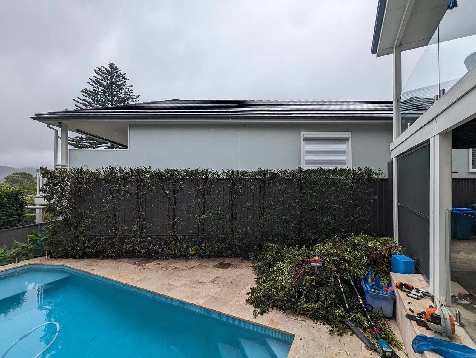 A Man Is Walking Down A Path In A Garden — Roots, Shoots & Leaves Garden Maintenance In East Corrimal, NSW