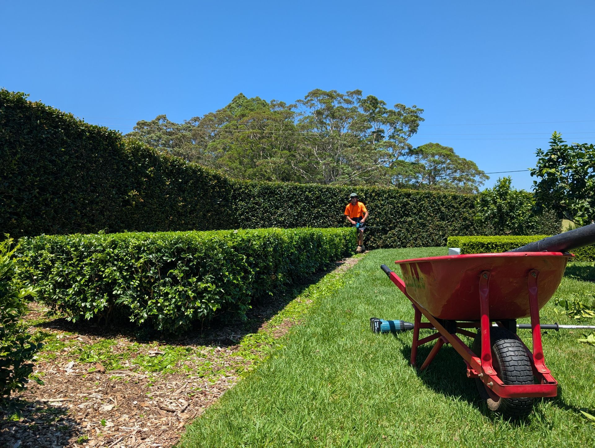 A Swimming Pool With A Hedge Surrounding It And A House In The Background — Roots, Shoots & Leaves Garden Maintenance In East Corrimal, NSW