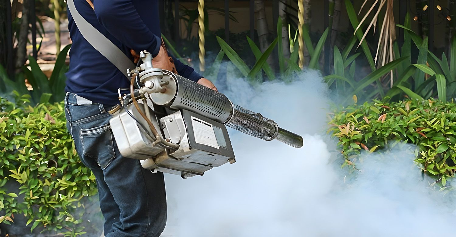 Person Spraying Insecticide With A Fogger