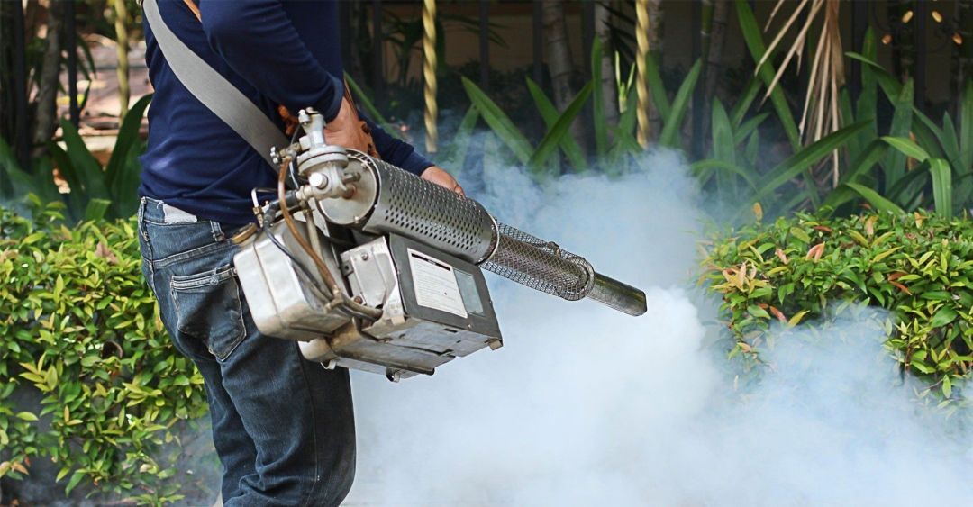 A Man is Using a Machine to Spray Smoke in a Garden — Troy's Pest Control in Lismore Heights, NSW