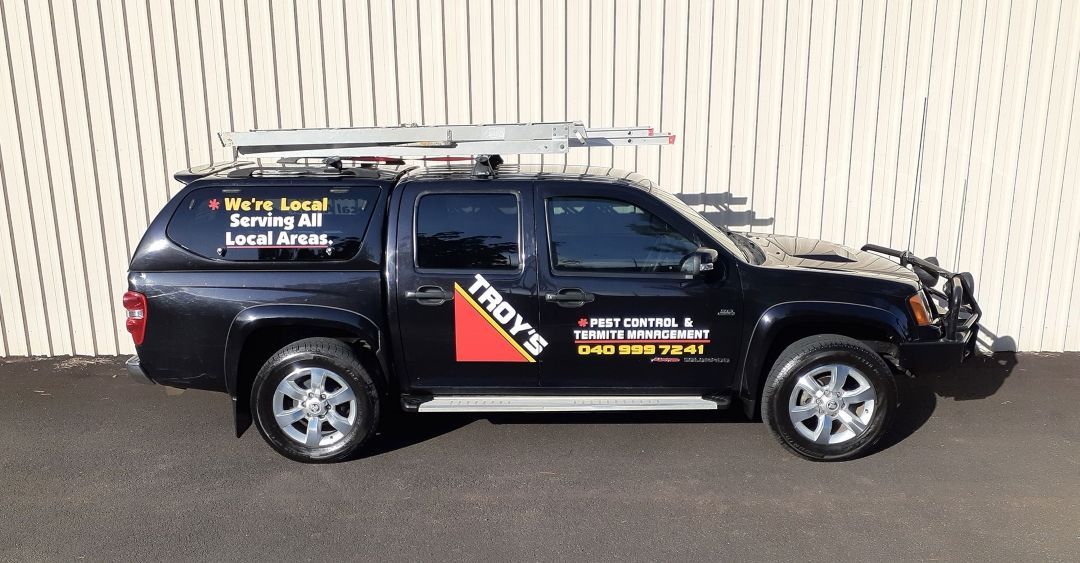 A Black Truck With a Canopy on Top of It is Parked in Front of a Building — Troy's Pest Control in Lismore Heights, NSW