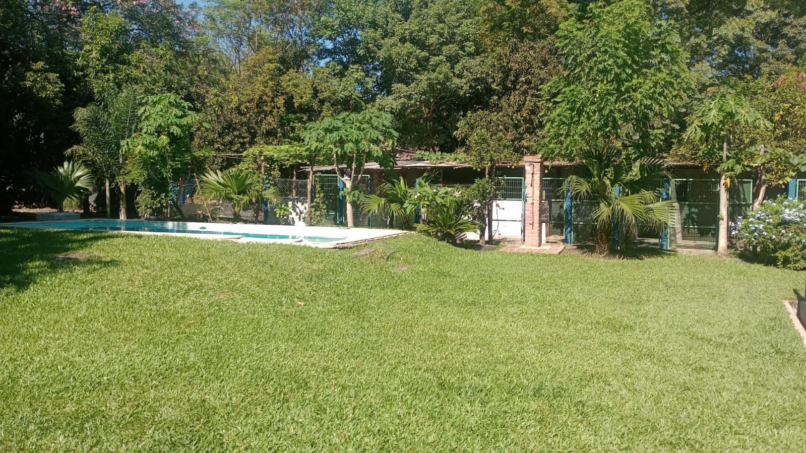 Una soleada escena en el patio trasero, con un césped bien cuidado que conduce a una pequeña piscina.