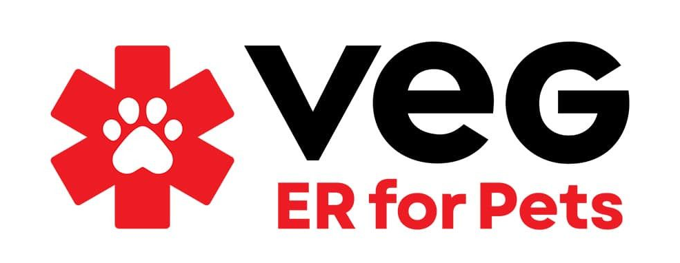 Logo for Ironhorse Vetcare featuring a blue circle with a white cross, a green paw print, and text 