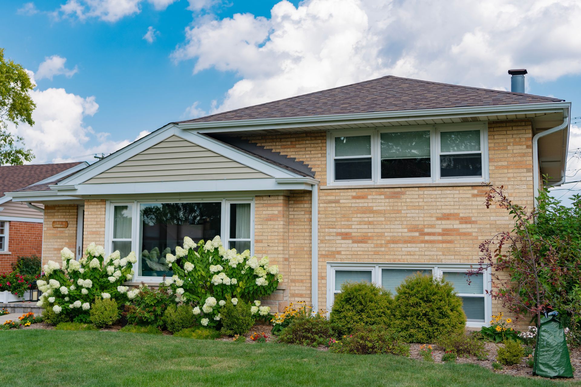 Two-story brick house with a brown roof, white trim, and blooming white hydrangeas in the front yard.