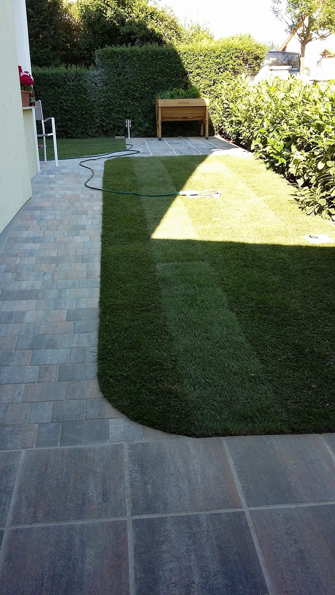 Eine Wiese mit einer Terrasse und einer Bank im Hintergrund.