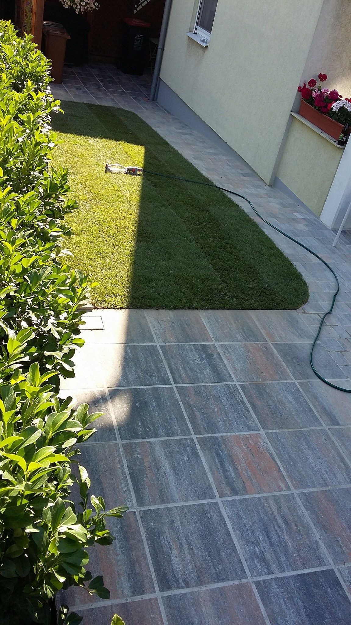 Ein gefliester Gehweg, der zu einem üppigen grünen Rasen führt, an dem ein Schlauch angeschlossen ist.