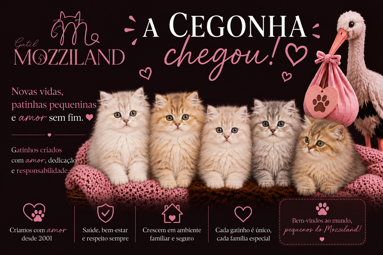 gatil mozziland cegonha