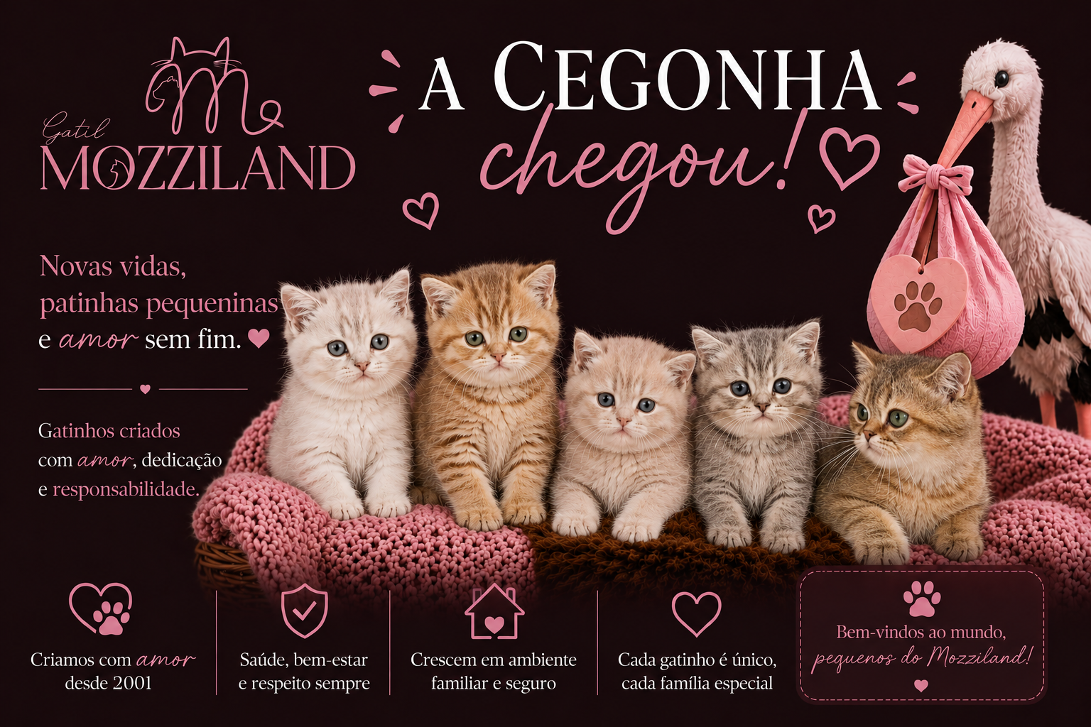 gatil mozziland cegonha