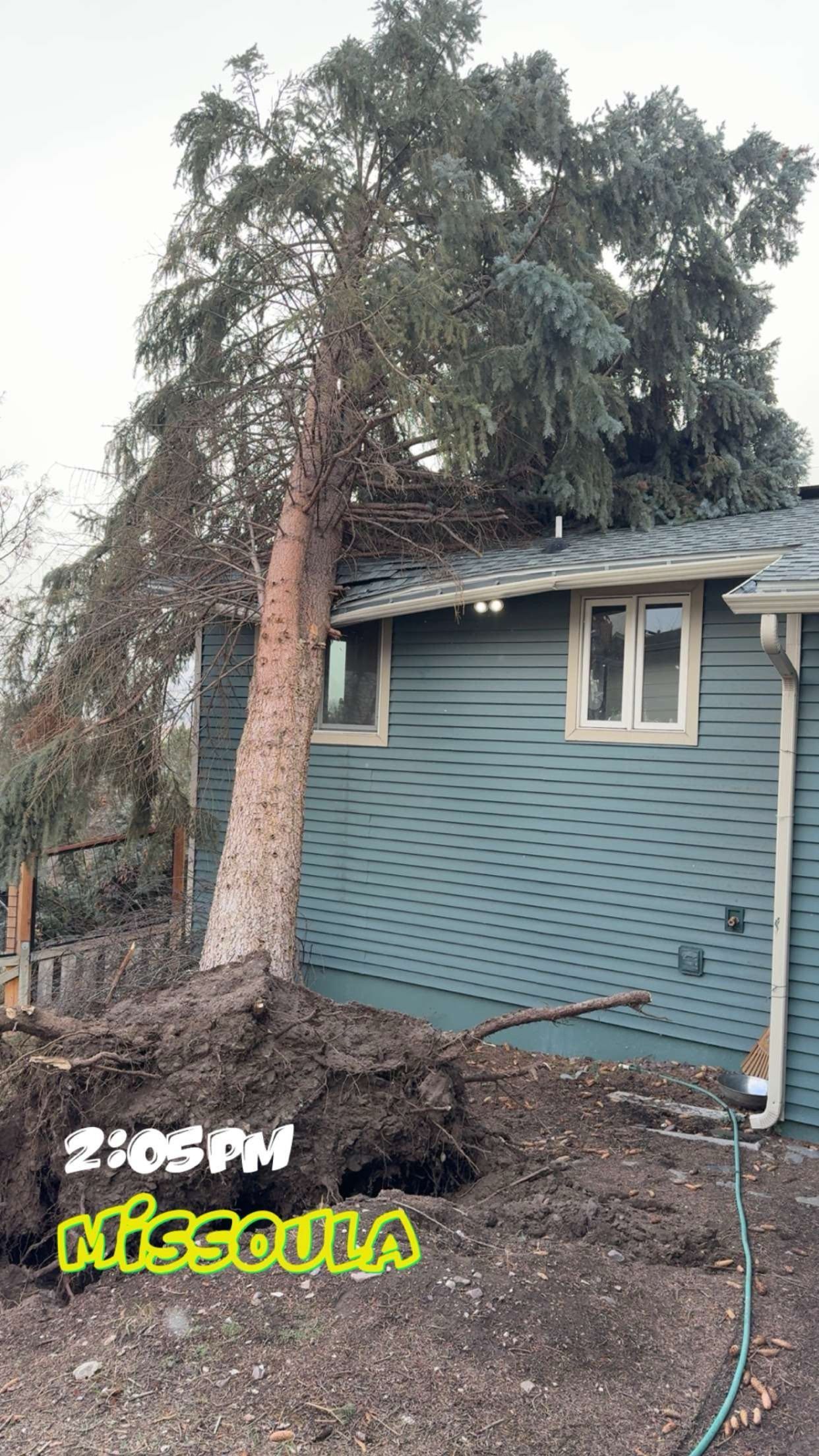 A house with a brown roof and white trim