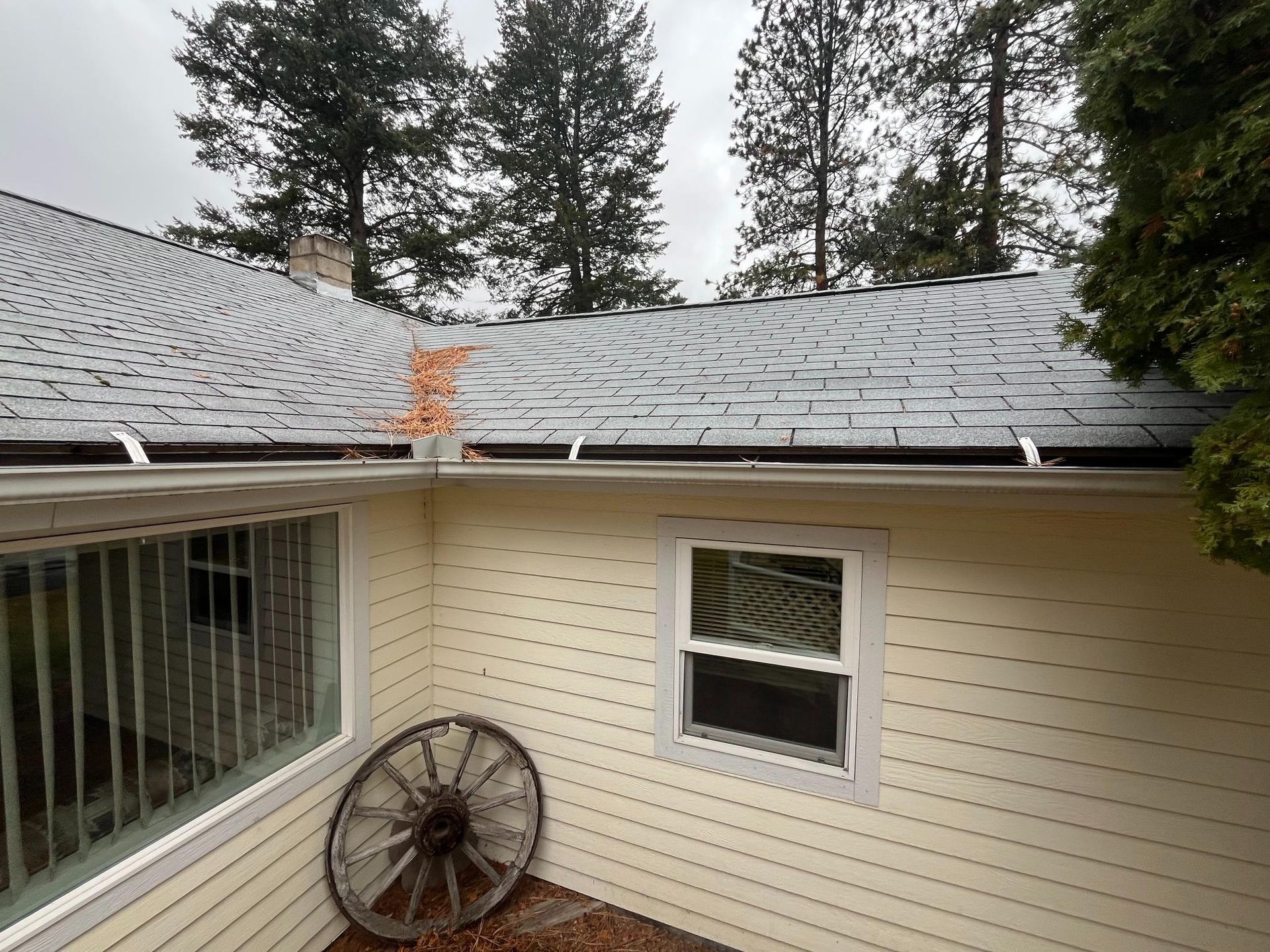 Steel frame construction of a building, with a telehandler and vehicles. People are present in a forested area.