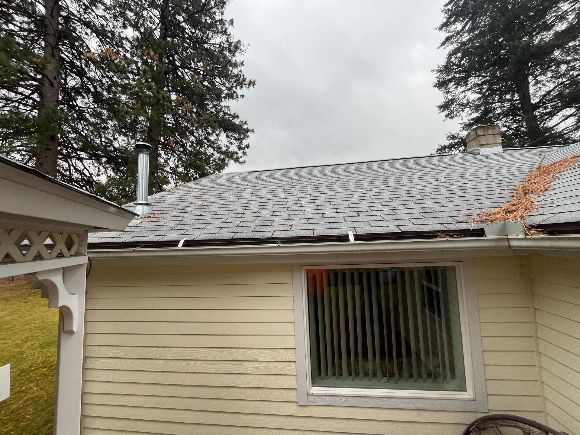 A house with a gray roof and gutter filled with leaves; an exterior view on an overcast day.