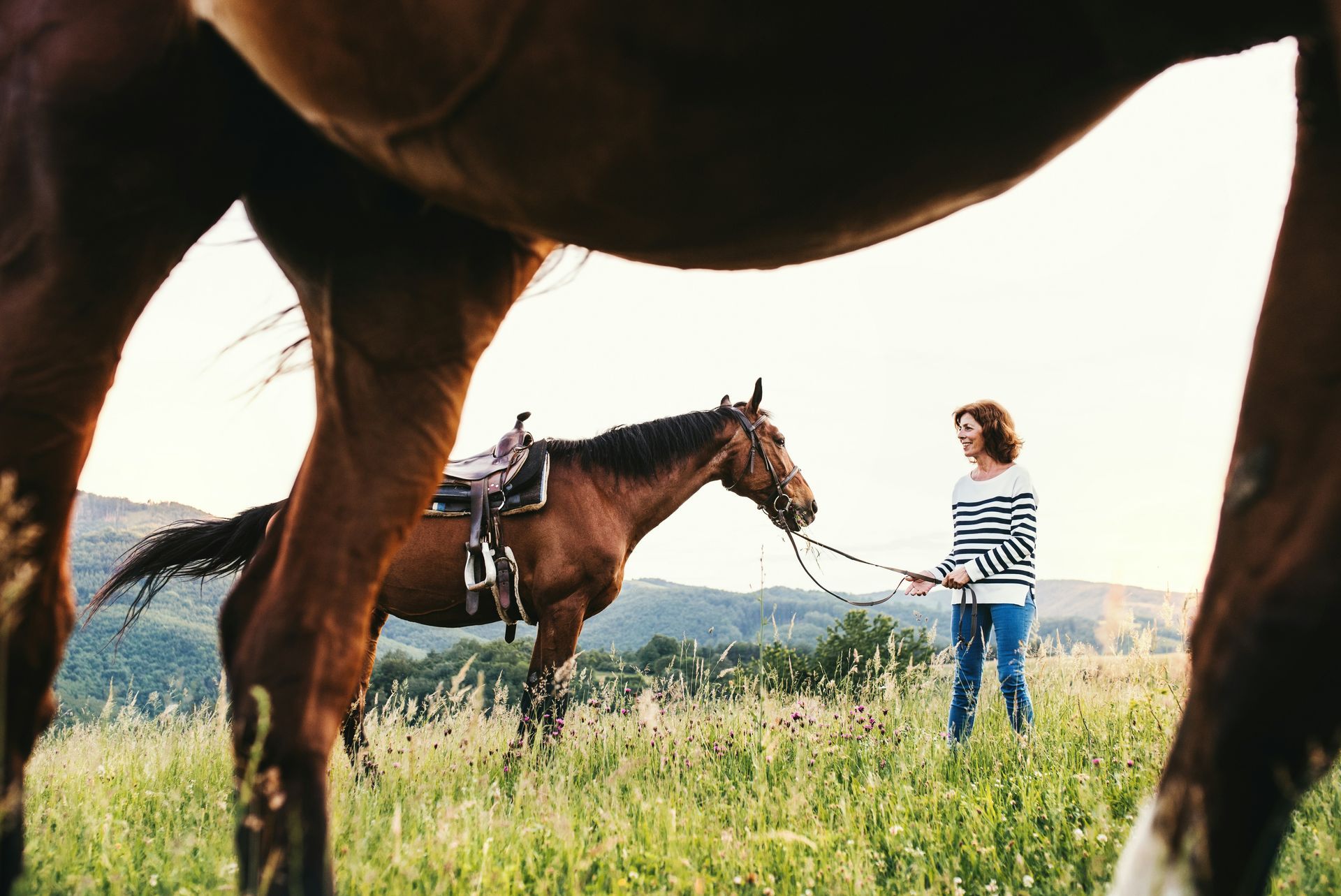 A woman in blue jeans and a striped shirt leads a saddled brown horse through a grassy field.