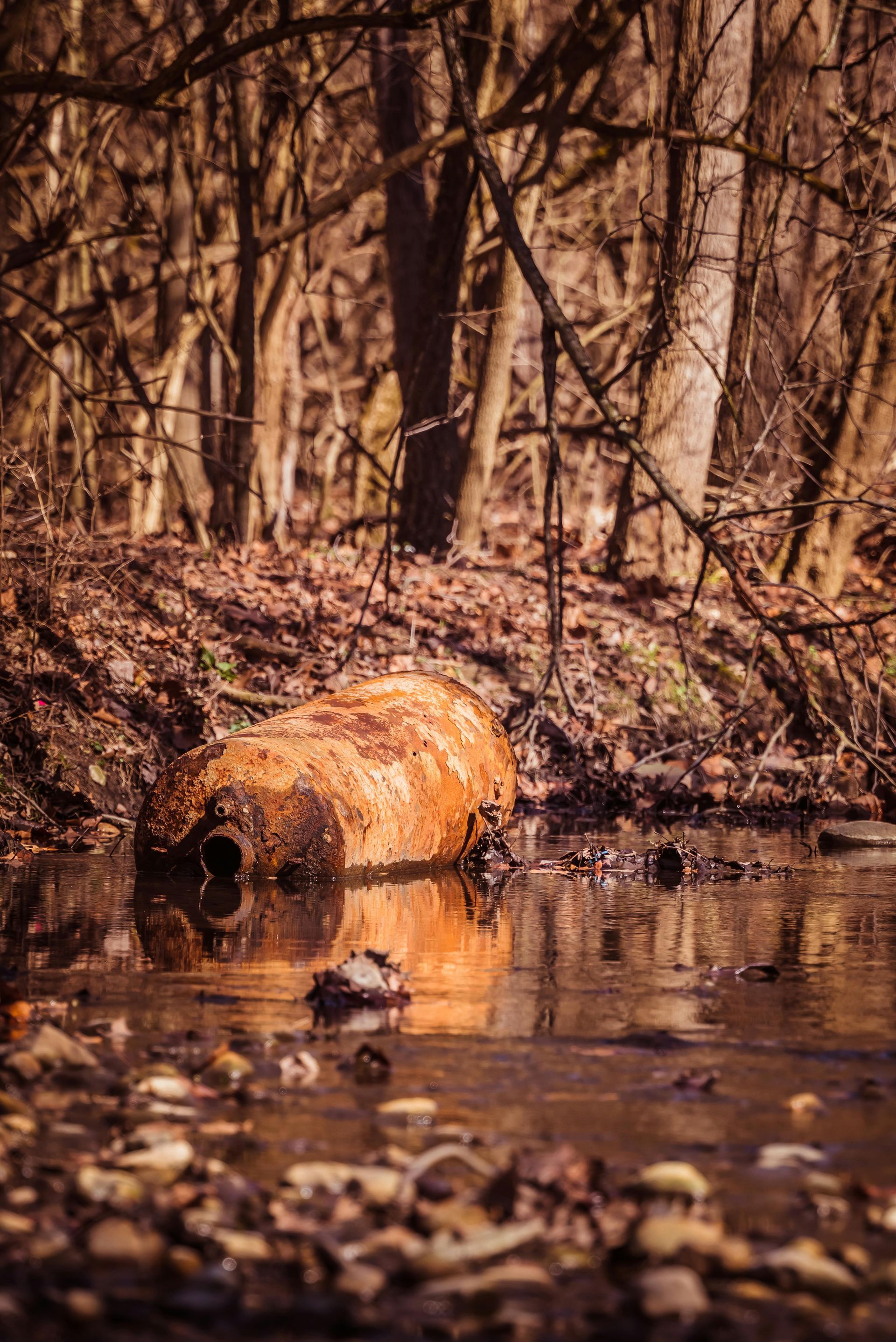 Rusted metal drum lies submerged in a shallow stream surrounded by fallen leaves and bare trees in a forest.