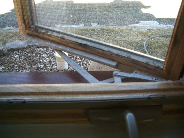 Moldy Window — Montrose, CO — Plateau Environmental