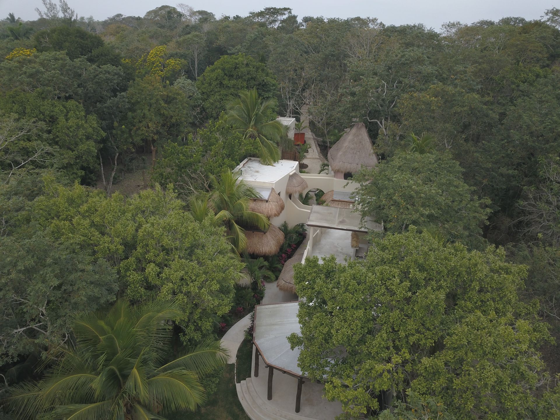 Overhead view of buildings with thatched roofs surrounded by dense green jungle foliage.