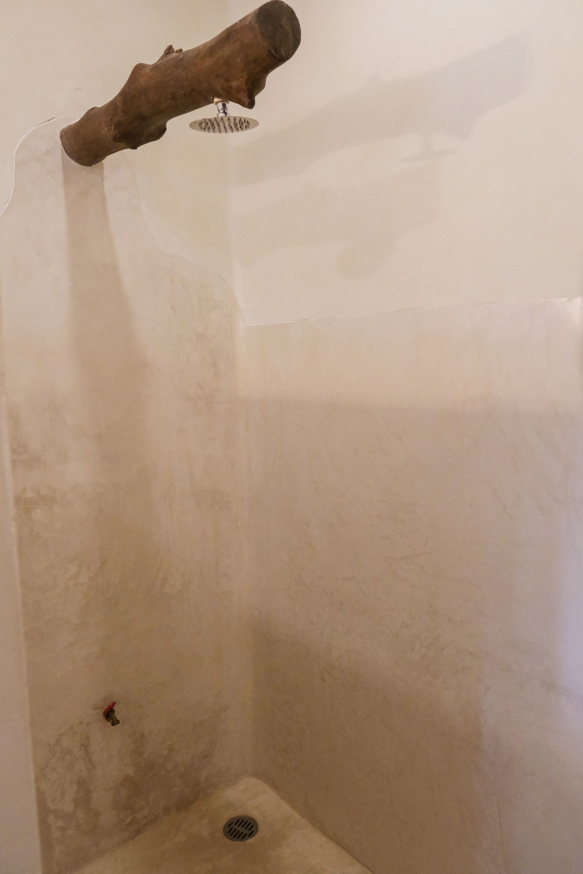 Shower with a rustic log showerhead and off-white walls.