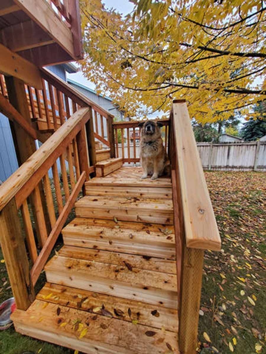 A dog is sitting on top of a wooden deck.