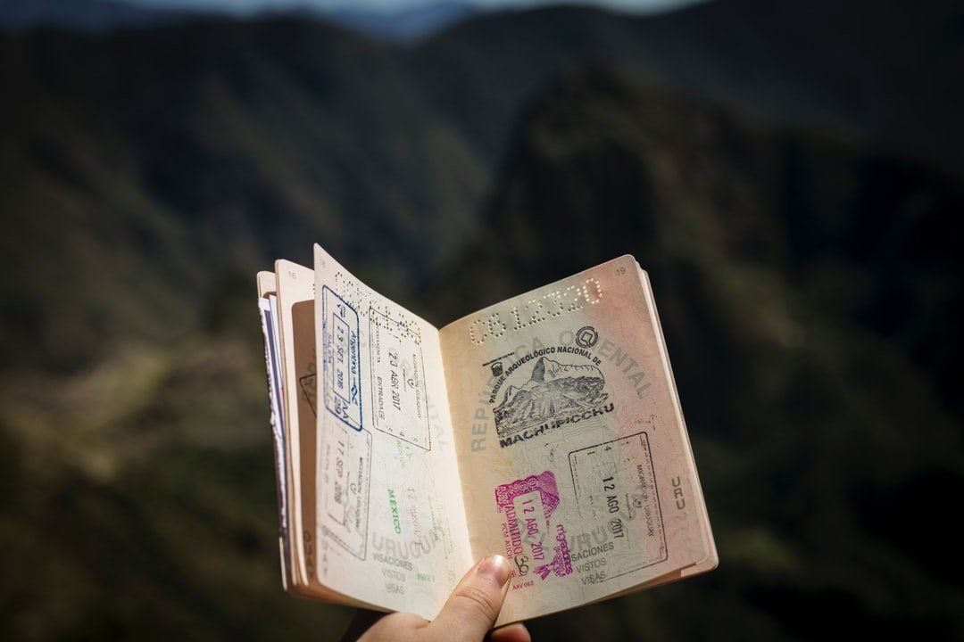 Hand holding open passport with multiple stamps, blurred mountain background.