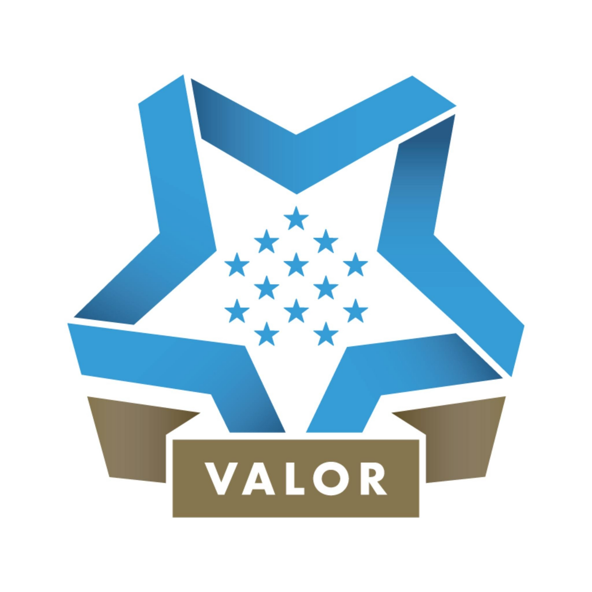Medal of Honor Summer Camps Medal of Honor Summer Camps