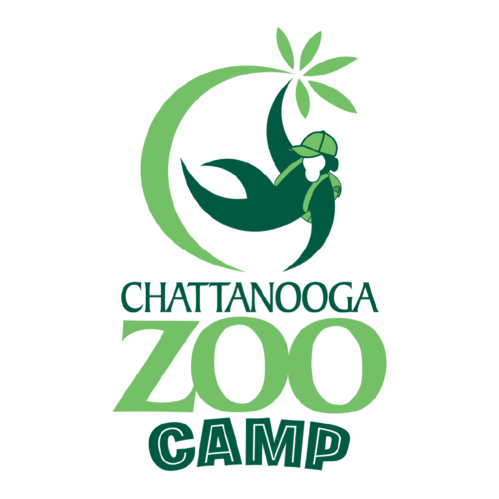 Chattanooga Zoo Summer Camps Chattanooga Zoo Summer Camp