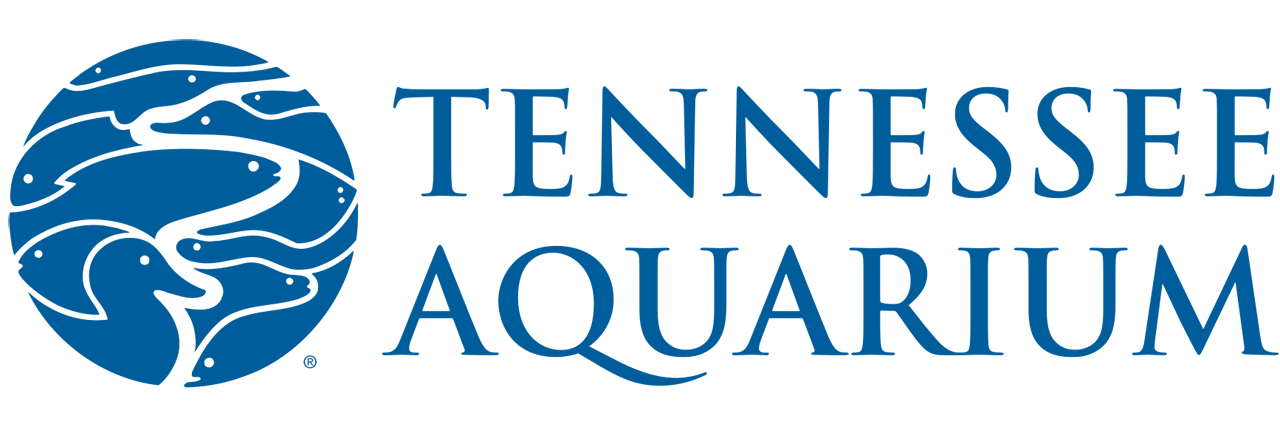 Tennessee Aquarium Summer Camp