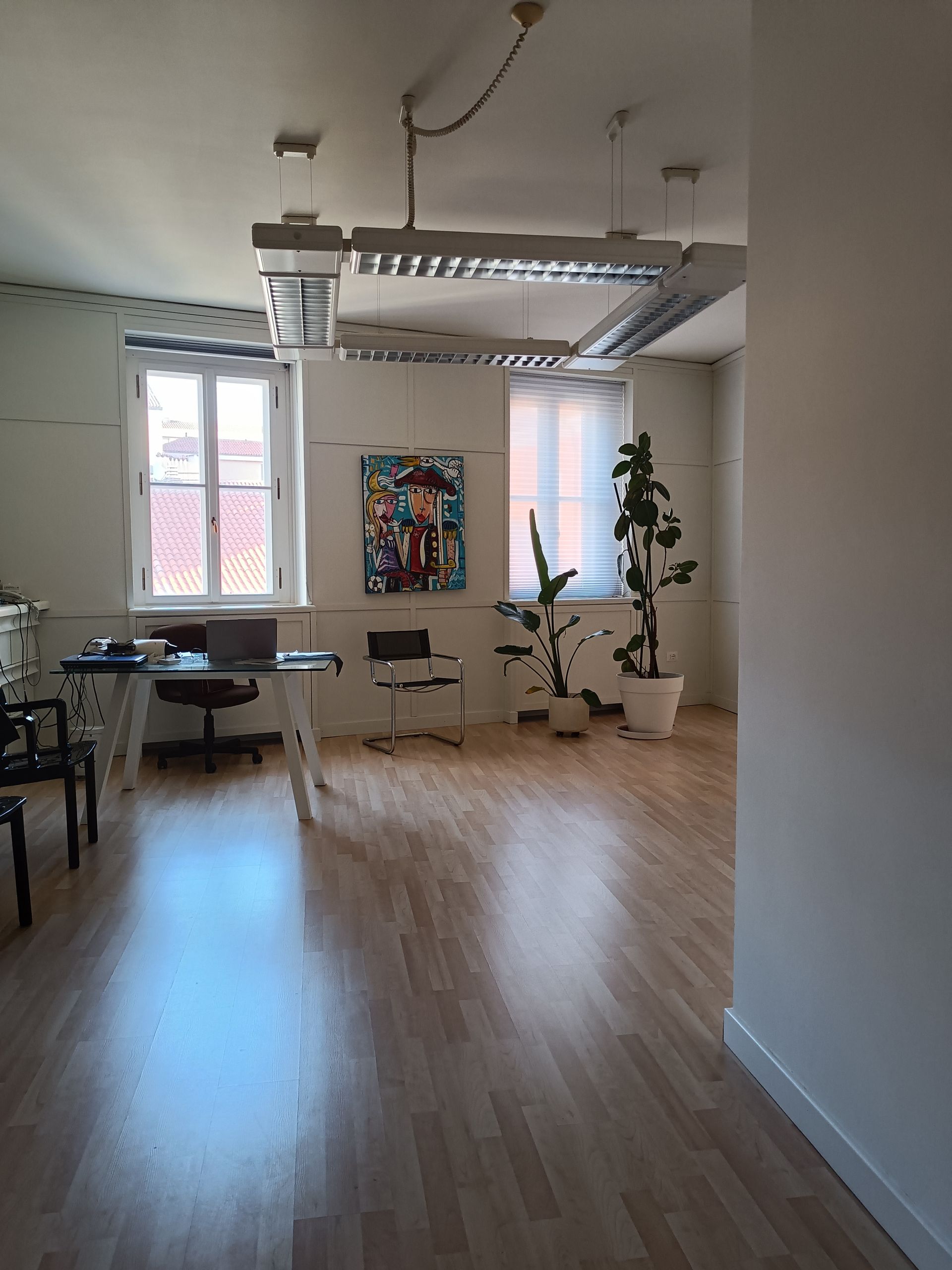 dr nicolò solimano trieste