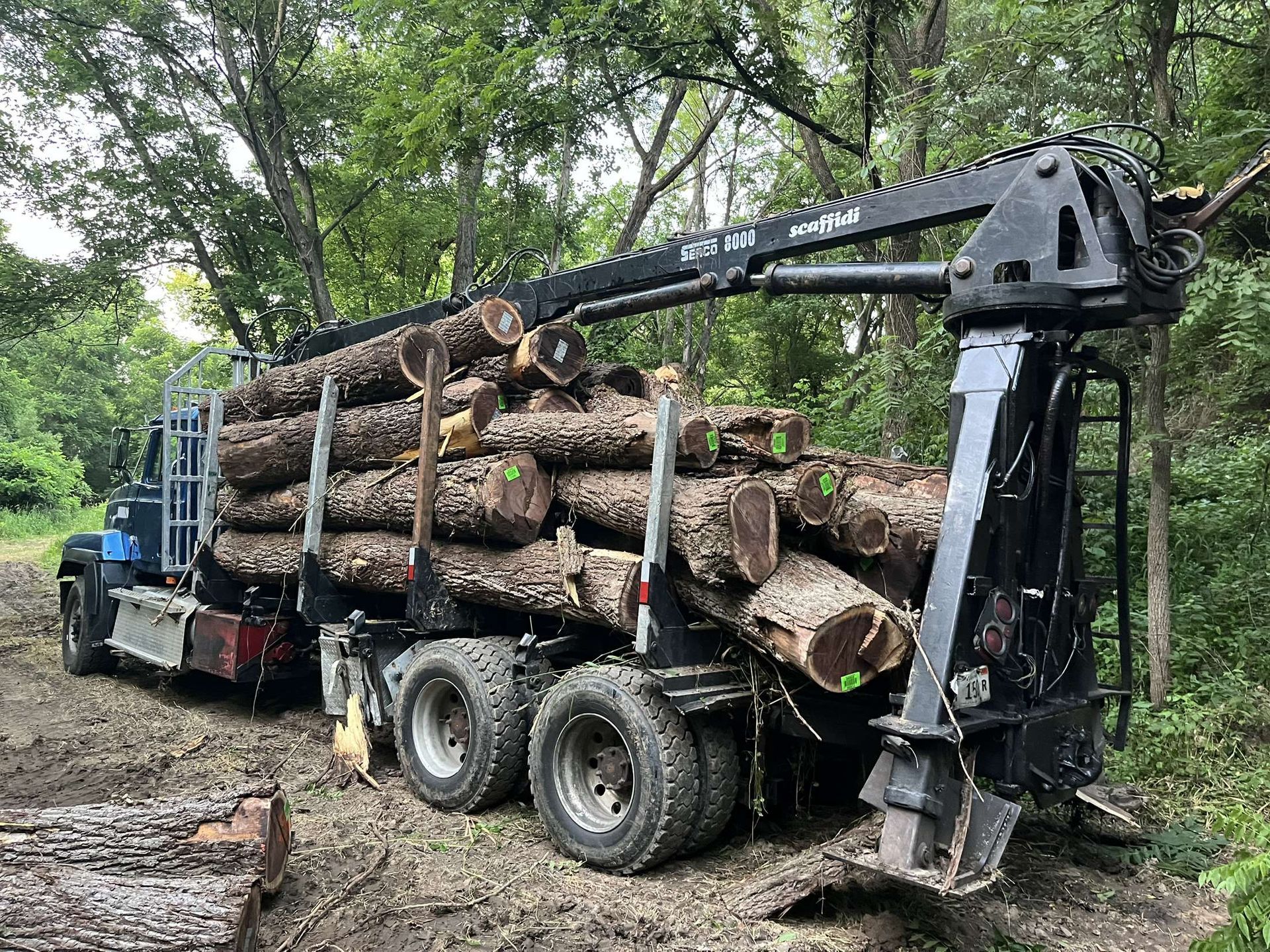 A crane is lifting a log from a truck.