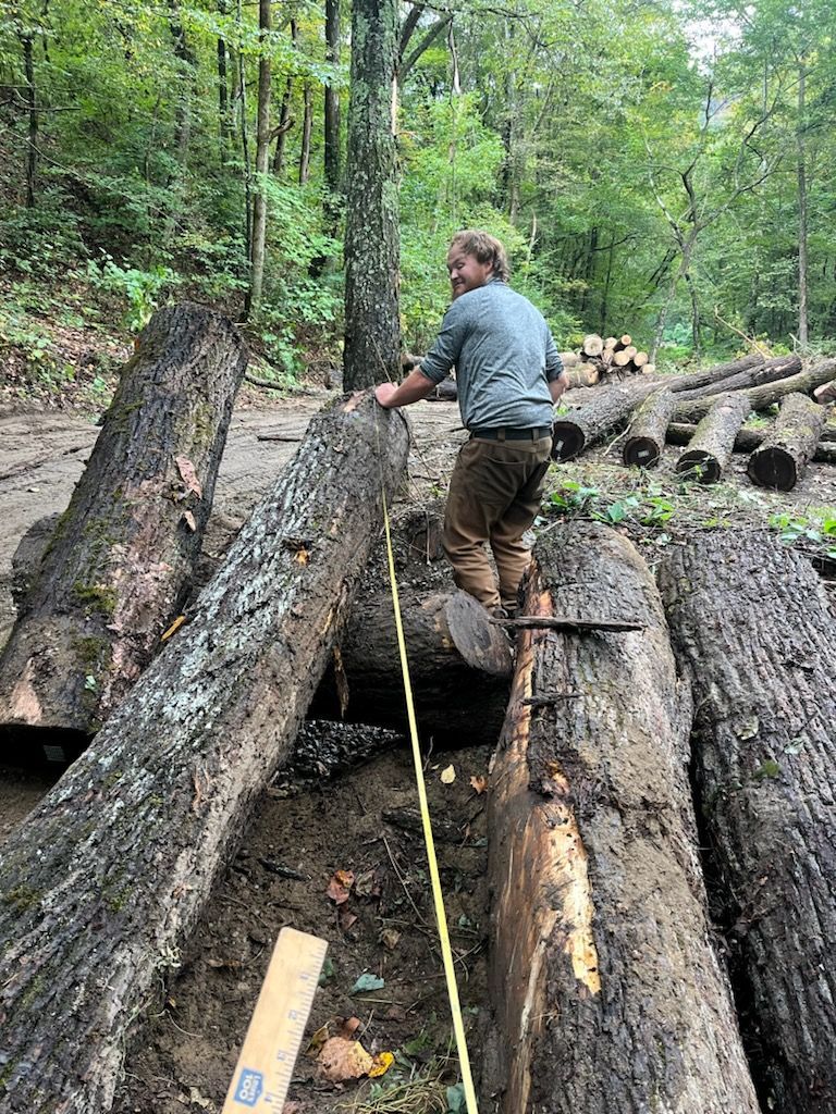 Person measuring logs in a forest. The person smiles, yellow tape measure extended between the logs.
